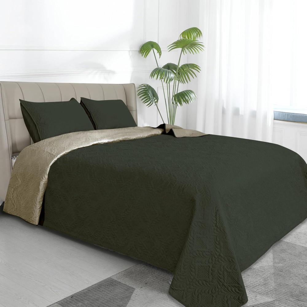 image:imageEasyGoing FullQueen Size Reversible Quilt Set with 1 Quilt and 2 Pillow Shams Soft Bed Quilt Cover Lightweight Microfiber Bedspread Water and Stain Resistant GrayLight GrayOlive Leafarmy GreenBeige