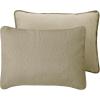 Easy-Going Full/Queen Size Reversible Quilt Set with 1 Quilt and 2 Pillow Shams, Soft Bed Quilt Cover, Lightweight Microfiber Bedspread, Water and Stain Resistant, Gray/Light Gray(Olive Leaf-beige/Beige)