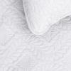 Easy-Going Full/Queen Size Reversible Quilt Set with 1 Quilt and 2 Pillow Shams, Soft Bed Quilt Cover, Lightweight Microfiber Bedspread, Water and Stain Resistant, Gray/Light Gray(Olive Leaf-white/White)