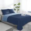 Dark Blue/Light Blue